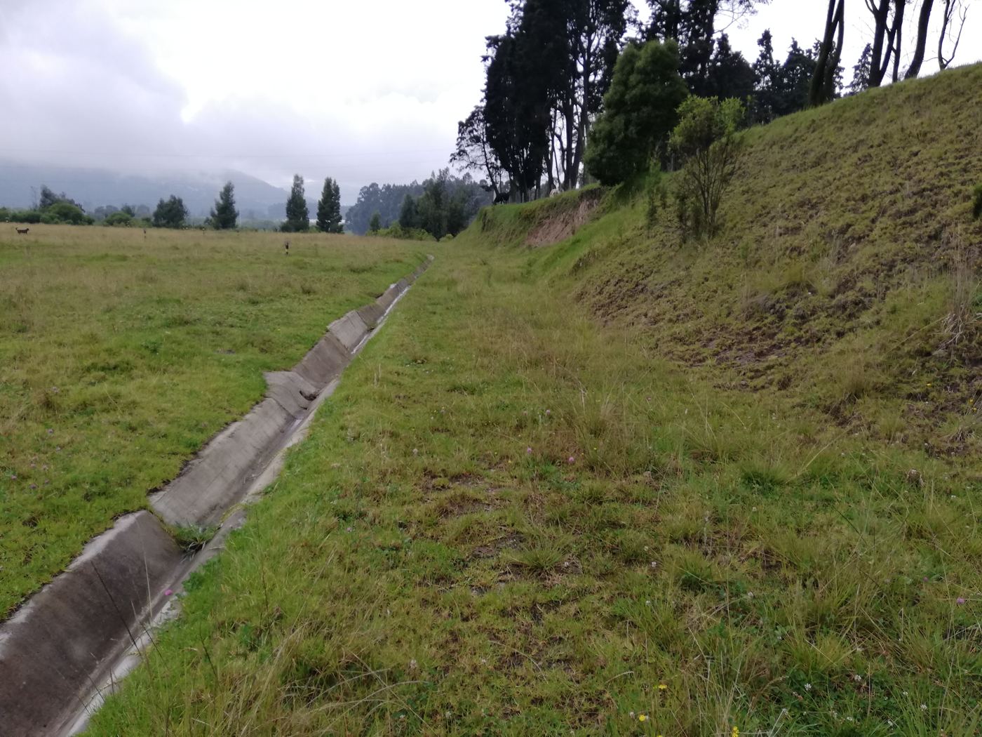 Canal perimetral de aguas lluvias